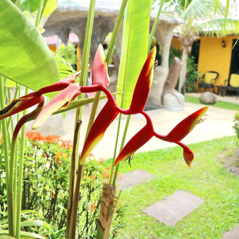 Kamala Tropical Garden Hotell Exteriör bild
